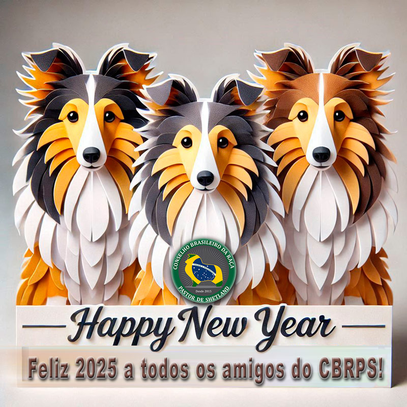 Feliz 2025!