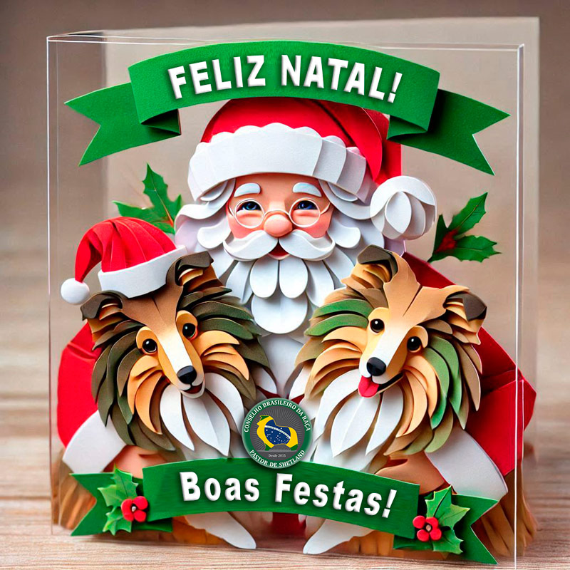 Feliz Natal e Boas Festas!