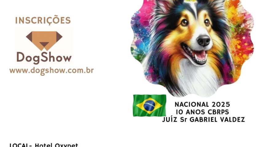 Exposição Nacional do Shetland 2025