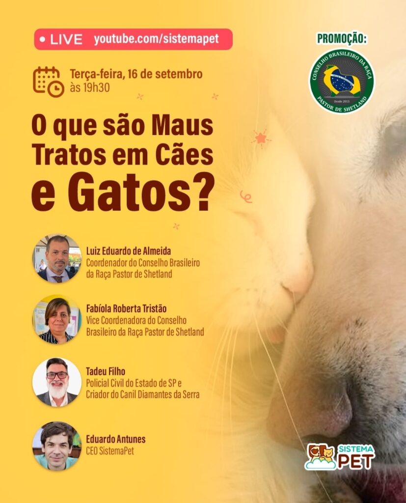 O Que São Maus Tratos em Cães e Gatos?