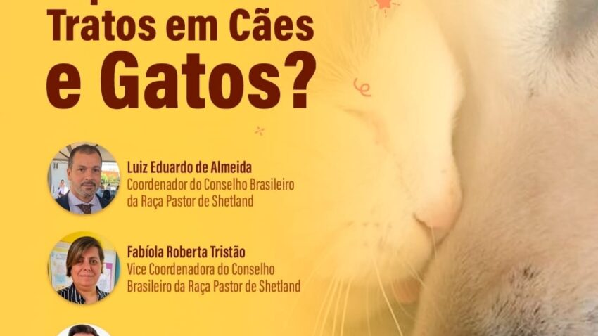 O Que São Maus Tratos em Cães e Gatos?